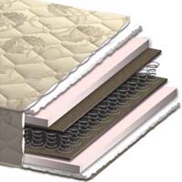 Моника Моника