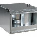 ��������� ������������ ���������� ����� ����