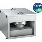 ��������� ������������ ���������� ���� ��